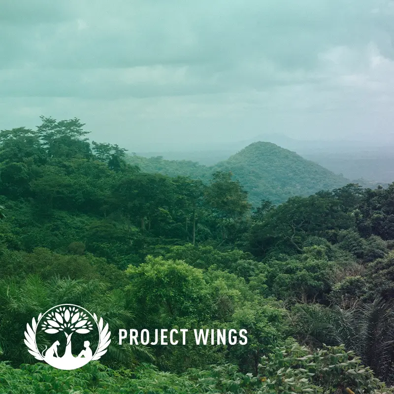 CO2 Neutral BEJOYNT Project Wings